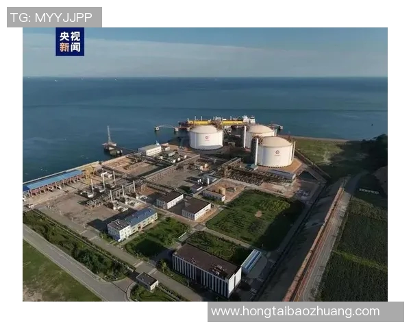 独家解析LNG灵活性对比及其在全球市场中的应用前景实时新闻
